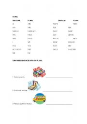 English Worksheet: PLURALS