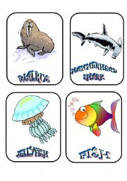 AQUATIC CREATURES 5