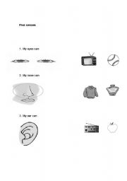 English Worksheet: 5 senses