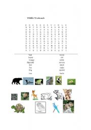 English Worksheet: Wildlife Wordsearch