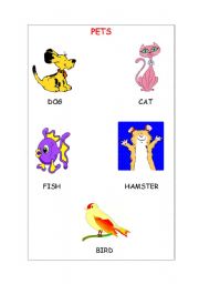 English worksheet: Pets