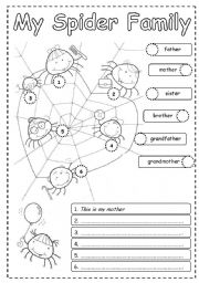 English Worksheet: My spider family