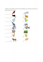 English worksheet: Animals and the food they eat