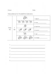 English Worksheet: Step by Step (Plants)