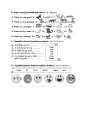 English worksheet: 6th grade 2nd term 2nd exam paper part2