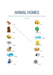 English Worksheet: Animal Homes