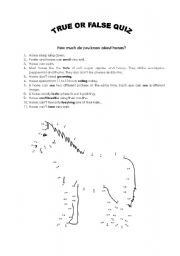 How Much Do You Know About Horses True Or False Quiz Esl Worksheet By Maria C