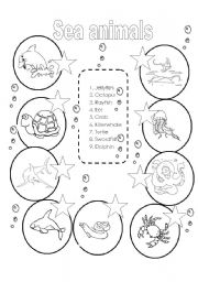 English Worksheet: Sea animals