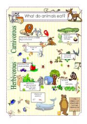 English Worksheet: What do animals eat?