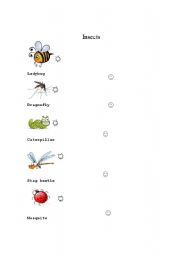 English Worksheet: Insect matching