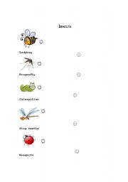 English worksheet: Insect matching