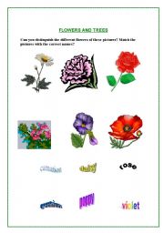 English worksheet: Flowers and trees 