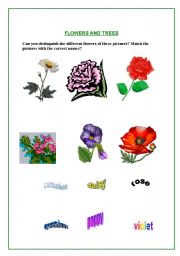 English Worksheet: Flowers and trees 