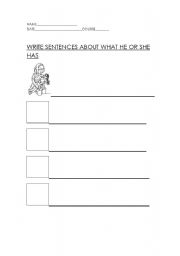 English Worksheet: what she or he has?