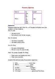 English worksheet: Possessive Adjectives