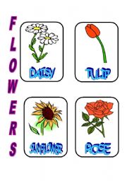 English Worksheet: FLOWERS 1