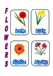 English Worksheet: FLOWERS 2