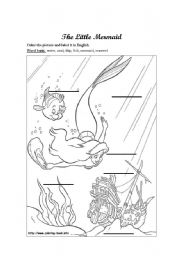 English Worksheet: little mermaid color and label