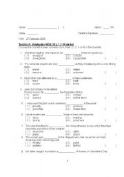 English Worksheet: English Test