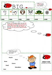 English worksheet: Big or little?