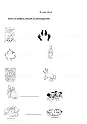 English Worksheet: irregular plurals