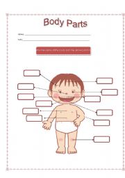 English Worksheet: Coulored Parts of the body