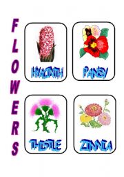 English Worksheet: FLOWERS 3