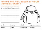 English Worksheet: What do you have in your schoolbag?