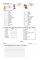 English Worksheet: INDEFINITE ARTICLE A AN 