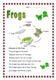 Frogs