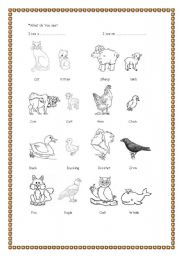 English worksheet: Animals