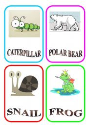 ANIMAL FLASH-CARDS - PART 5