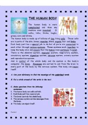 English Worksheet: MIRACULOUS HUMAN BODY! -  (( 2 pages )) - grammar / sentence structure / vocabulary - elementary - editable 