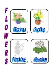 English Worksheet: FLOWERS 4