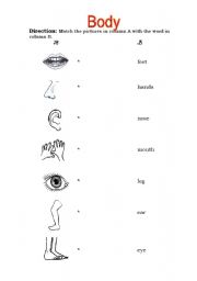 English worksheet: Body Parts