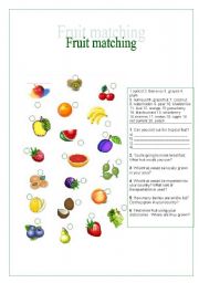 Fruit matching worksheet