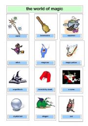 English Worksheet: The world of Magic Picture dictionary