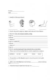 English worksheet: body parts and illnesses