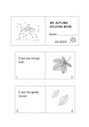 MY AUTUMN COLOURS BOOK