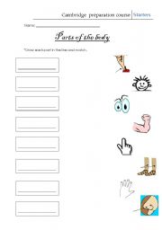 English Worksheet: Parts of the body