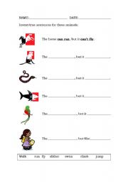 English Worksheet: animal actions