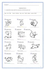 English Worksheet: singular and plural