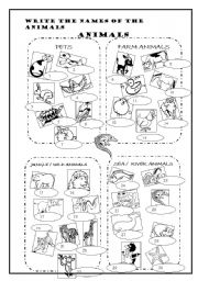 English Worksheet: animals 
