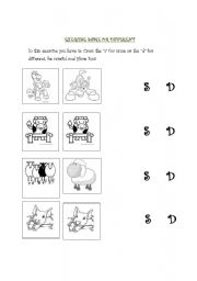 English worksheet: same or different