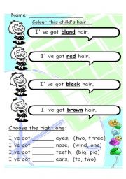 English Worksheet: Hair colour 