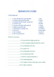 Reproductive System Matching Worksheet