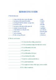 English Worksheet: Reproductive System Matching Worksheet