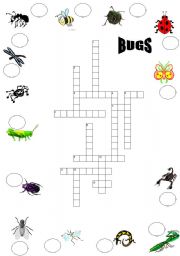 English worksheet: bugs