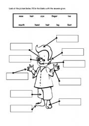 English Worksheet: Body Parts