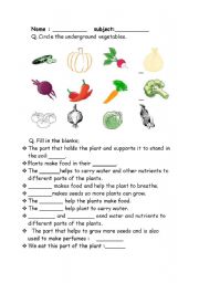 English worksheet: palnts